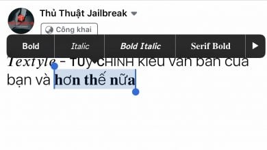 Textyle Tuy Chinh Kieu Van Ban Cua Ban Va Hon The Nua